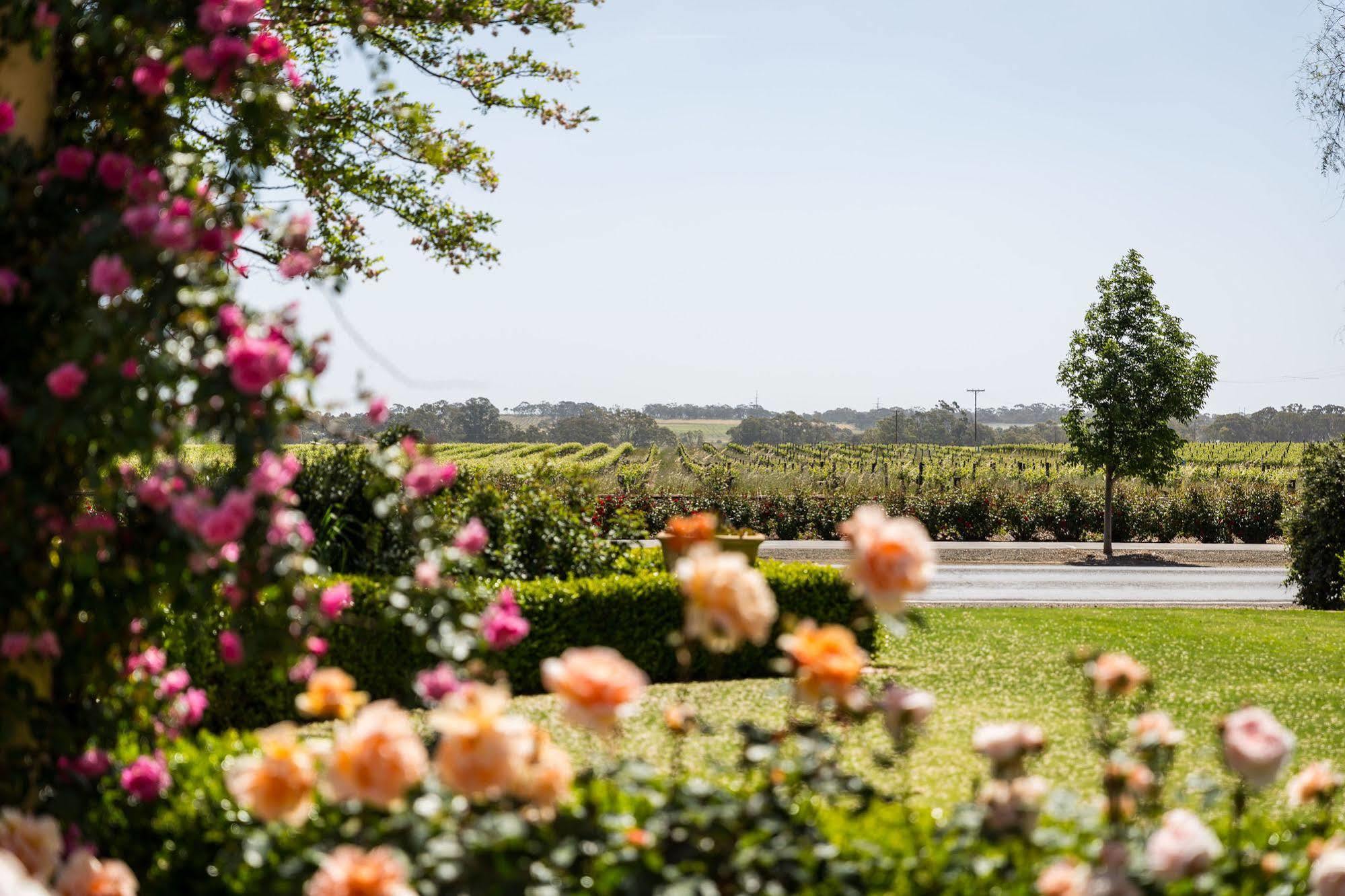 Bed and Breakfast Barossa House Танунда Экстерьер фото